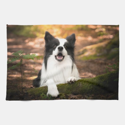 Cutest Baby Animals | Black & White Border Collie キッチンタオル (横)