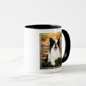 Cutest Baby Animals | Black & White Border Collie マグカップ (正面右)