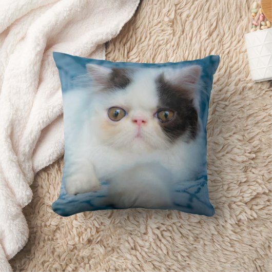 Cutest Baby Animals | Black & White Kitten クッション (ブランケット)