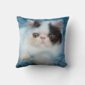 Cutest Baby Animals | Black & White Kitten クッション (裏面)