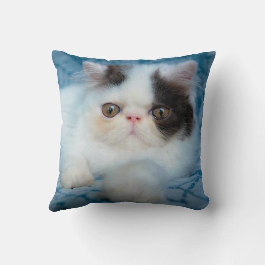 Cutest Baby Animals | Black & White Kitten クッション (裏面)