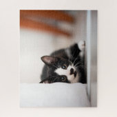 Cutest Baby Animals | Black & White Kitten ジグソーパズル (縦)