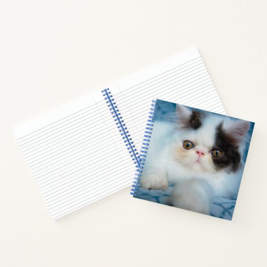 Cutest Baby Animals | Black & White Kitten ノートブック (内部)