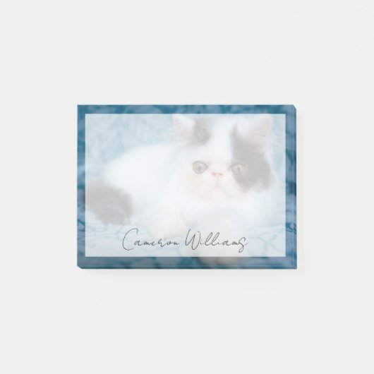 Cutest Baby Animals | Black & White Kitten ポストイット (正面)