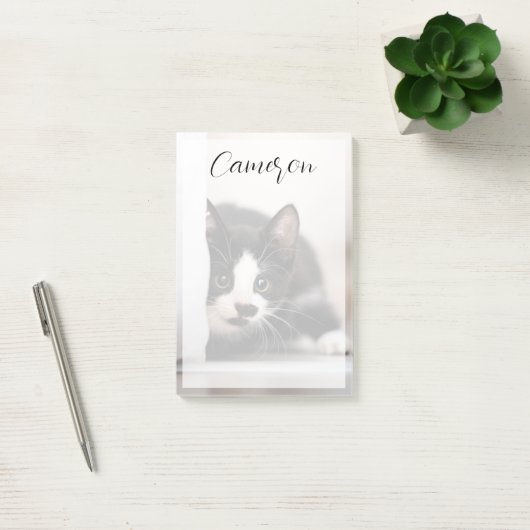 Cutest Baby Animals | Black & White Kitten ポストイット (オフィス)