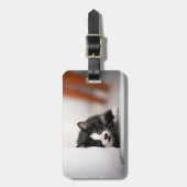 Cutest Baby Animals | Black & White Kitten ラゲッジタグ (正面縦)