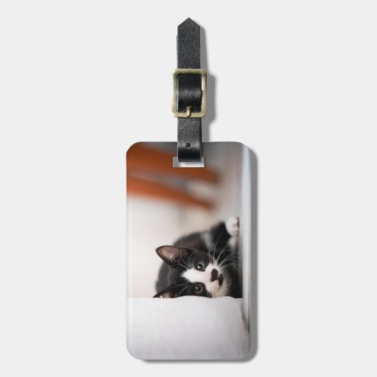 Cutest Baby Animals | Black & White Kitten ラゲッジタグ (正面縦)