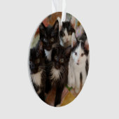 Cutest Baby Animals | Black & White Kittens オーナメント (正面)