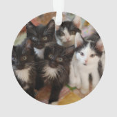 Cutest Baby Animals | Black & White Kittens オーナメント (裏面)