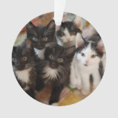 Cutest Baby Animals | Black & White Kittens オーナメント (正面)