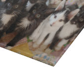 Cutest Baby Animals | Black & White Kittens カッティングボード (角)