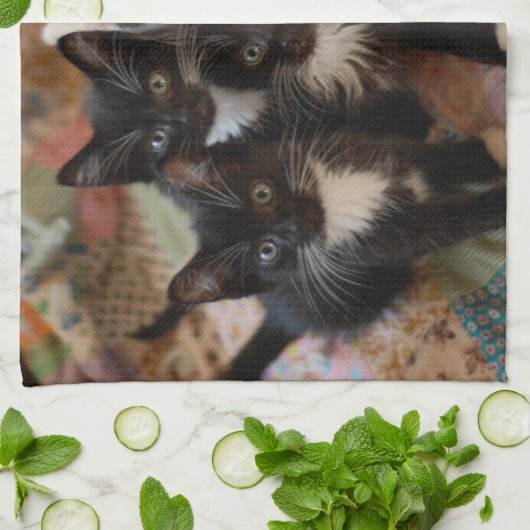 Cutest Baby Animals | Black & White Kittens キッチンタオル (折り畳み)