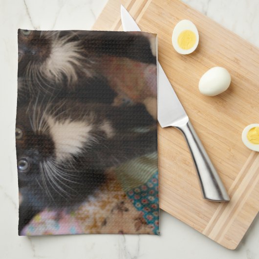 Cutest Baby Animals | Black & White Kittens キッチンタオル (四つ折り)