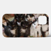 Cutest Baby Animals | Black & White Kittens Case-Mate iPhoneケース (裏面 (横))