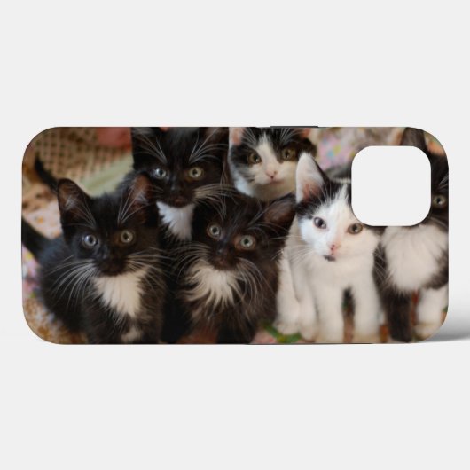 Cutest Baby Animals | Black & White Kittens Case-Mate iPhoneケース (裏面 (横))
