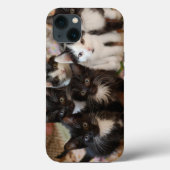 Cutest Baby Animals | Black & White Kittens Case-Mate iPhoneケース (裏面)