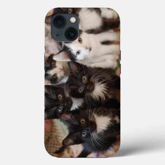 Cutest Baby Animals | Black & White Kittens Case-Mate iPhoneケース (裏面)