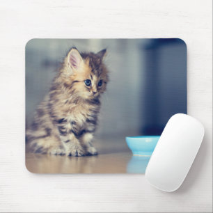 Cutest Baby Animals Blue-eyed Persian Kitten マウスパッド