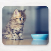 Cutest Baby Animals | Blue-eyed Persian Kitten マウスパッド (正面)