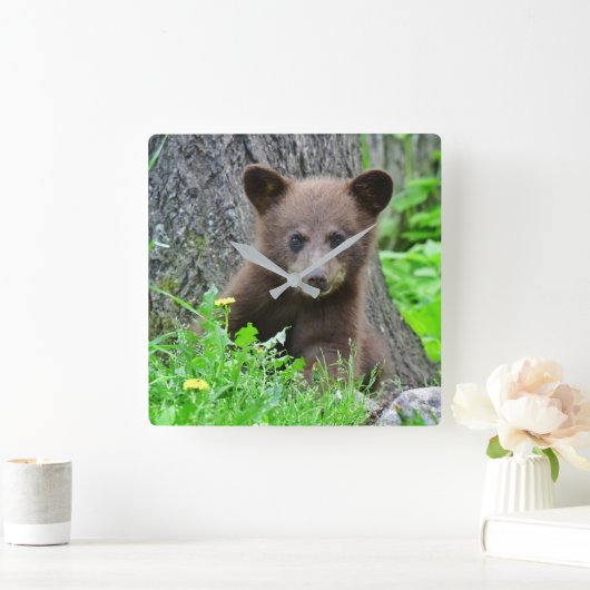Cutest Baby Animals | Brown Bear Cub スクエア壁時計 (ホーム)