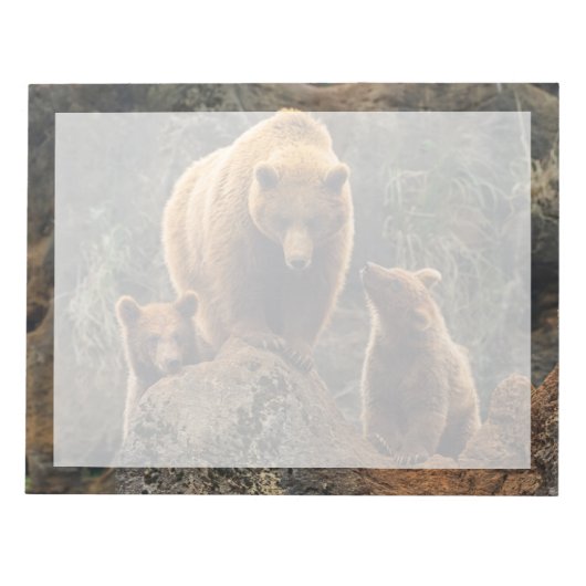 Cutest Baby Animals | Brown Bear Family ノートパッド (正面)