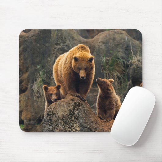 Cutest Baby Animals | Brown Bear Family マウスパッド (マウス)