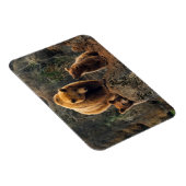 Cutest Baby Animals | Brown Bear Family マグネット (右側)