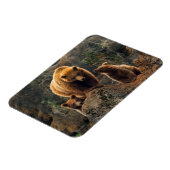 Cutest Baby Animals | Brown Bear Family マグネット (左側)