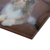 Cutest Baby Animals | Calico Persian Kitten カッティングボード (角)