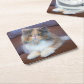 Cutest Baby Animals | Calico Persian Kitten スクエアペーパーコースター (アングル)