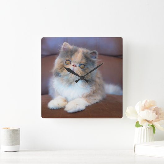 Cutest Baby Animals | Calico Persian Kitten スクエア壁時計 (ホーム)