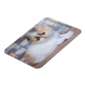 Cutest Baby Animals | Calico Persian Kitten マグネット (左側)