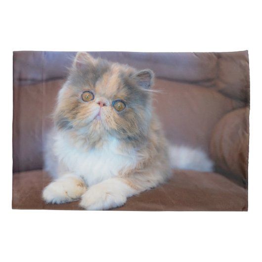 Cutest Baby Animals | Calico Persian Kitten 枕カバー (裏面)