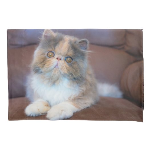 Cutest Baby Animals | Calico Persian Kitten 枕カバー (正面)