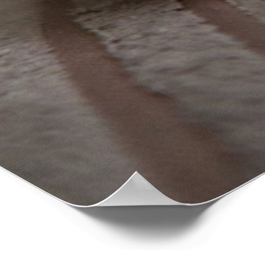 Cutest Baby Animals | Cavashon Puppy ポスター (角)