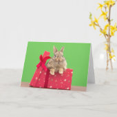 Cutest Baby Animals | Christmas Holiday Bunny カード (黄色い花)