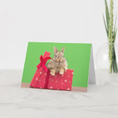 Cutest Baby Animals | Christmas Holiday Bunny カード (正面)