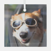 Cutest Baby Animals | Corgi Goggles in the Car ガラスオーナメント (正面)