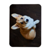 Cutest Baby Animals | Corgi Looking Up マグネット (縦)