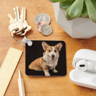 Cutest Baby Animals Corgi Portrait on Black キーホルダー