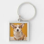 Cutest Baby Animals | Corgi Portrait on Orange キーホルダー (正面)