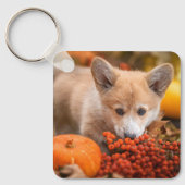 Cutest Baby Animals | Corgi Puppy  in Autumn キーホルダー (正面)