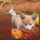 Cutest Baby Animals | Corgi Puppy  in Autumn キーホルダー (正面)