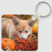 Cutest Baby Animals | Corgi Puppy  in Autumn キーホルダー (裏面)