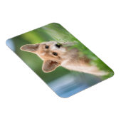 Cutest Baby Animals | Corgi Puppy in the Yard マグネット (右側)