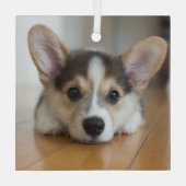 Cutest Baby Animals | Corgi Puppy Looking ガラスオーナメント (裏面)