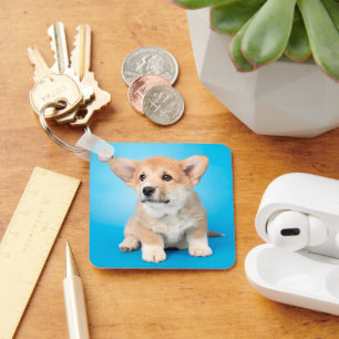 Cutest Baby Animals Corgi Puppy on Blue キーホルダー