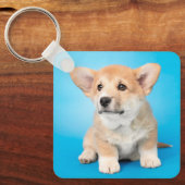 Cutest Baby Animals | Corgi Puppy on Blue キーホルダー (正面)