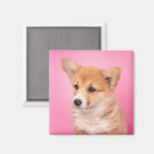 Cutest Baby Animals | Corgi Puppy on Pink マグネット (正面/裏面)