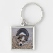 Cutest Baby Animals | Corgi Puppy on Shag Rug キーホルダー (正面)